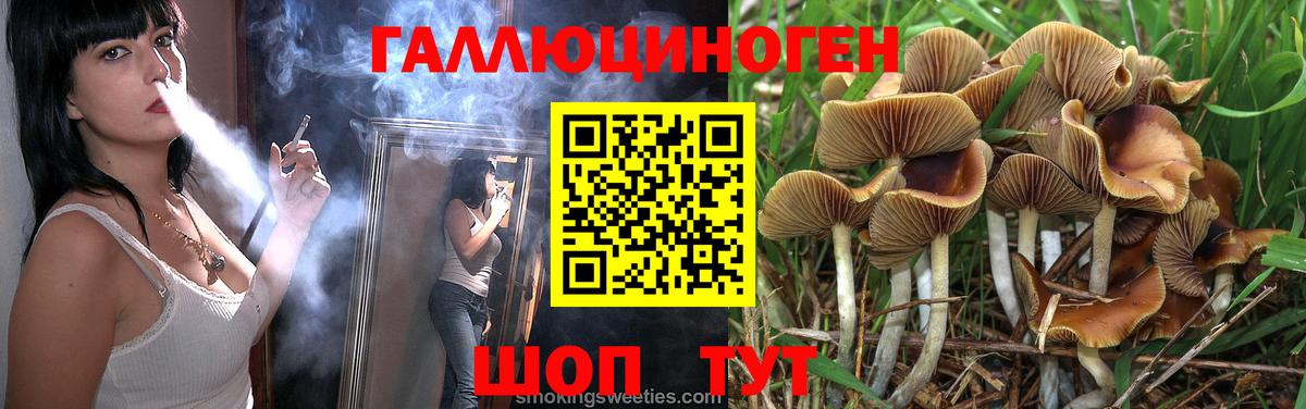 Псилоцибиновые грибы GOLDEN TEACHER Кемерово